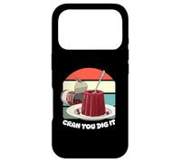 Cranberry Thanksgiving 2025 Cran You Dig It, Cranberry Sauce Case for iPhone 17 Pro