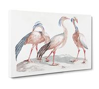 Crane Birds By Johan Teyler Canvas Print | Gallery Wrapped 30mm Frame Wall Art | 20x14 inches | Ready to Hang | Retro Bird Picture | Living Room Bedroom Lounge Office