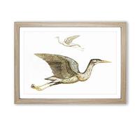 Crane & Bittern by Johan Teyler Framed Print | A2 Oak Framed Wall Art | Ready to Hang | Modern Animal Picture | Living Room Bedroom Lounge Office