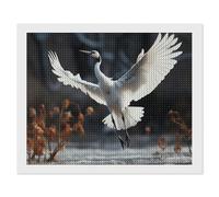 Crane Dancing Diamond Painting Kits for Adults, DIY 5D Diamond Painting Kits for Beginners, Round Full Drill Diamond Dots Paintings, Diamonds Pictures Gem Art for Crafts Home Decor 16"x20"