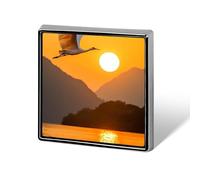 Crane Flying Over Water Sunset Printed Brooch Pins Badge Button Tie Lapel Backpack Pin Decoration for Women Men