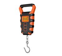 Crane Scale, 50Kg/10g Digital Fishing Scale with Fish Grip Ruler Waterproof Scales for Luggage Travel Weighing Steelyard Hanging Scale,Multiple Functions(A5)
