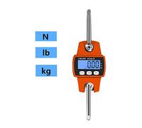 Crane Scale Mini 300kg 50g Hook Electronic Weight Loop Industrial Weighing Kitchen Hanging Commercial Use(300kg-50g)
