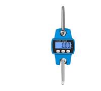 Crane Scale Mini 300kg 50g Hook Electronic Weight Loop Industrial Weighing Kitchen Hanging Commercial Use(Blauw)