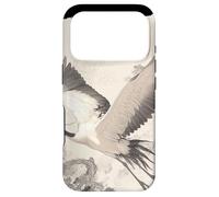Cranes Kanji Sakura Japan Nature - Zen Art Case for iPhone 17 Pro