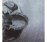 Cranial - Dead Ends (Col.Vinyl+Download) [VINYL]