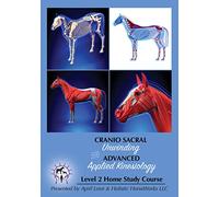 Craniosacral Unwinding and Advanced Applied Kinesiology