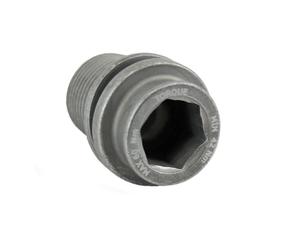 Crank Fixing Bolts