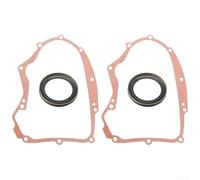 Crankcase Gasket Kit 591911 273488 Small Gas Engine