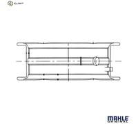 MAHLE ORIGINAL 011 FL 21059 025 Crankshaft bearing