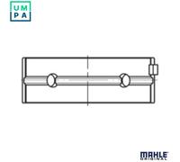 MAHLE 081 HL 21839 025 Crankshaft bearing