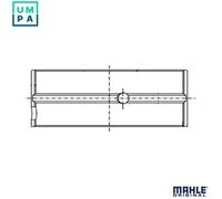 MAHLE ORIGINAL 151 HL 18607 000 Crankshaft bearing