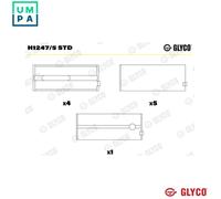 Glyco Crankshaft Bearing H1247/5 STD - for Mitsubishi 4M40/4M41 2.8L/3.2L (Pajero II 2000-2007)