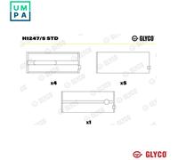 Glyco Crankshaft Bearing H1247/5 STD - for Mitsubishi 4M40/4M41 2.8L/3.2L (Pajero II 2000-2007)
