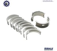 MAHLE 007 HS 20359 200 Crankshaft Bearing Set