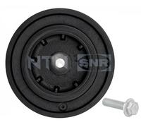 SNR DPF355.22K1 Crankshaft pulley