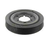 Crankshaft Pulley Fits CITROEN Berlingo C3 C4 PEUGEOT 206 307 Partner 0515.P5