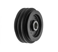 NTY RKP-NS-020 Crankshaft pulley