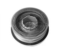 Crankshaft Pulley with vibration absorber 05723 Metalcaucho for BMW 3 Touring 3
