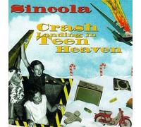 Crash Landing in Teen Heaven