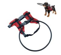 Crashproof Protective Collar for Blind Dog Stable Frame Adjustable Guide Harness Enhancing Pet Mobility Aid Crash Proof Dog Gear