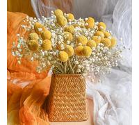 Craspedia Dried Flowers & Yellow Billy Buttons Balls Dried Flowers Babys Breath Flowers Bouquet, 17"Real Freshly Harvested Dry Plant Bunch Arrangements Decorate for Home Crafts, Party, Wedding