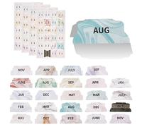 CRASPIRE 10 Sheets Monthly Planner Tabs with Days of The Week & Month Stickers - Self-Adhesive Index Labels for Office & School Accessories