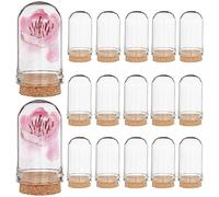 CRASPIRE 15Pcs Mini Glass Cloche Dome 1.75Inch Bell Jar Bottles Display Stand Cover with Cork Base Clear Decorative Tabletop Display Case for Dried Flower Wedding Xmas Party Favors Arts Small Projects