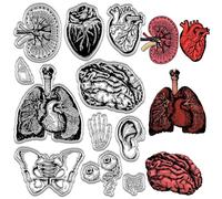CRASPIRE Organ Clear Rubber Stamps Spine Brain Skeleton Ear Heart Lungs Eyeball Vintage Reusable Transparent Silicone Stamp Seals for Journaling Card Making Photo Album Paper Craft Scrapbooking