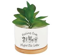 CRASPIRE White Ceramics Planters Funny Succulent Plant Pot Cactus Flower Grow Pots Drainage for Indoor Outdoor Plants Windowsill Desk Decor Unique Planter Gift Feeling Cute Might Die Later (No Plants)