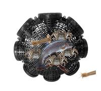 Crawfish Trap - 3 6 8 Hole MinnowhHolder Cage | Inverted Design Eel Loach Crayfish Trap | Efficient Outdoor Bait Fishing Accessories for the Aquarium Lake Turtle Boat