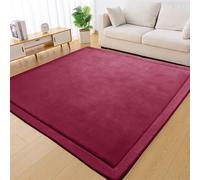 Crawling Mat for Baby Non-slip Coral Velvet Nursery Rug 2 cm Thick Baby Play Mat for Toddlers & Infants Soft Indoor Modern Area Rugs Large Playmat Rugs for Kids, Yoga Mat for Living Room 50 x 80 cm