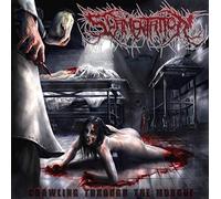 Crawling Through the Morgue