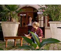 Crawls From the Walls