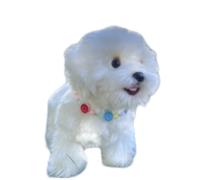 crayfomo Colourful Smiley Plastic Dog Necklace 4 Safe & Comfortable Pet Accessories Multi Colours Available-S(20cm 10cm)