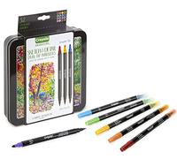 Crayola Brush Markers Dual-Tip with Ultra Fine Marker Decorative Case