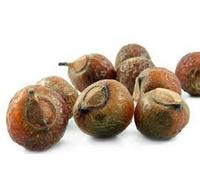 Crazee Deal | Whole ARITA PODS Acacia CONCINNA Hair Growth Prevents Hair Loss USE with Oil & Shampoo (50G)