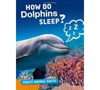 Crazy Animal Facts: How Do Dolphins Sleep?