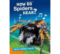 Crazy Animal Facts: How Do Spiders Hear?