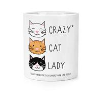 Crazy Cat Lady Makeup Brush Pencil Pot