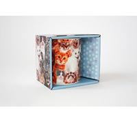 Crazy Cat Lady Mug