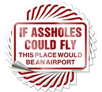 Crazy Lettering Sticker Aesthetic Decals, Men Decor Cute Pattern Design for Mom Notebook | Window Removable Vinyl If Assholes Could Fly This Place Would Be an Airport(12X18CM)