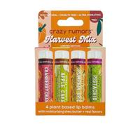 Harvest Mix - 4 pack (Cranberry Orange, Apple Cake, Pumpkin Spice, Pistachio) Crazy Rumors Clear One Size