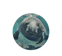 Crazy Save Manatee Printing 10 Pcs Air Freshener Cards,Car Scented Hanging Sheets Air Freshener Set For Car Decoration