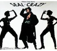 Crazy (William Orbit Remix)