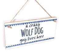 Crazy Wolf Dog Guy Lives Here Hanging Sign