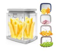 CrazyQueen 4-in-1 French Fry Cutter, Potato Cutter for Fries, Vegetable Chopper, Manual Hand Food Dicer, Stainless Steel Blades & Body