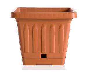 Crazystock selected Square Pot 30 Cm With Terracotta Saucer