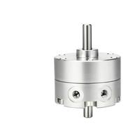 CRB2BW Series Bore10/15/20/30/40 Type Air Rotary Pneumatic Cylinder Single Blade Double Axis Aluminum Alloy(Bore10-270S)