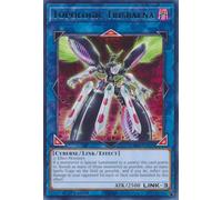 CRBR-EN051 Topologic Trisbaena